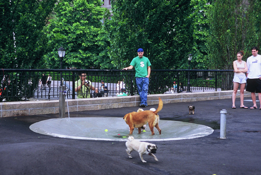 are dogs allowed in battery park