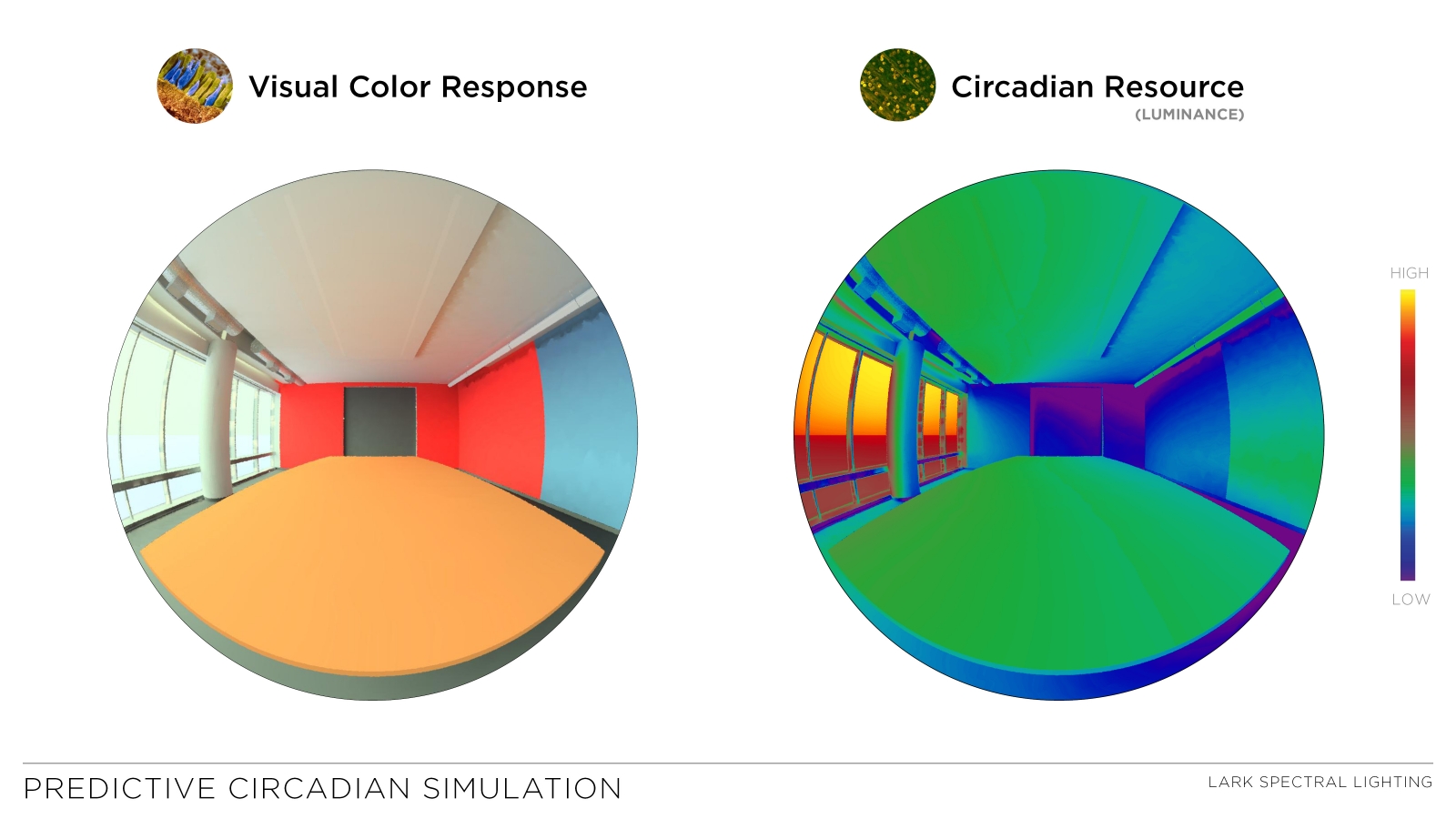 circadian rhythm lighting - biofilico — biofilico wellness interiors